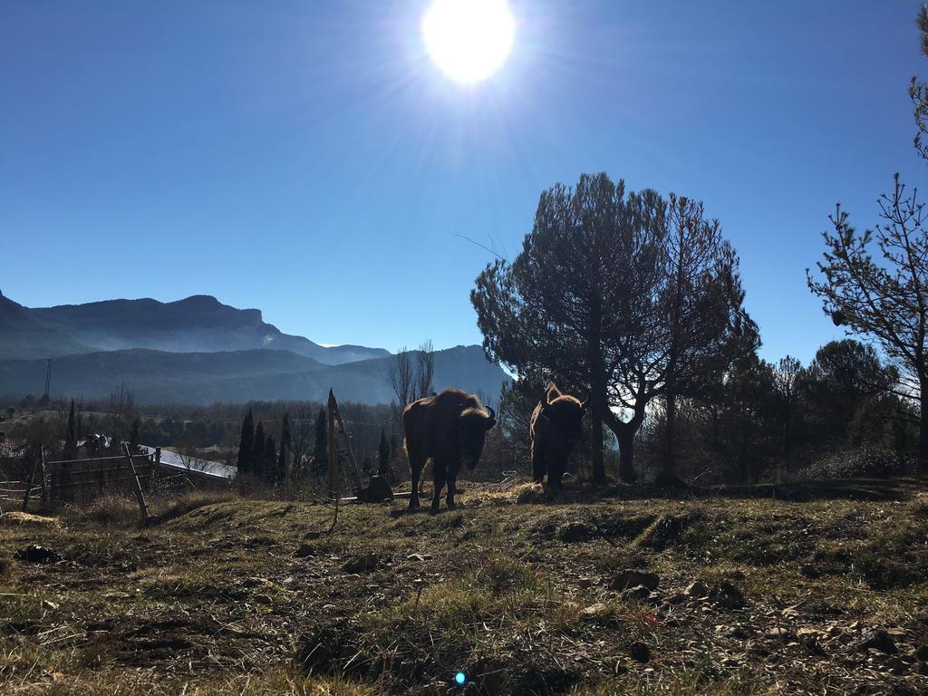 El Jou Nature Sant Corneli المظهر الخارجي الصورة