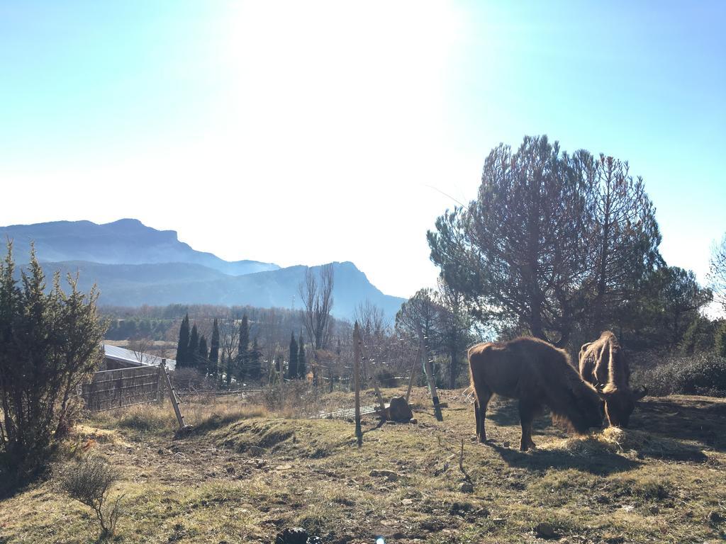 El Jou Nature Sant Corneli المظهر الخارجي الصورة