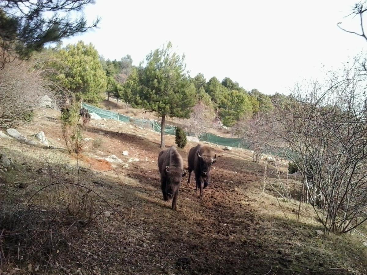 El Jou Nature Sant Corneli المظهر الخارجي الصورة